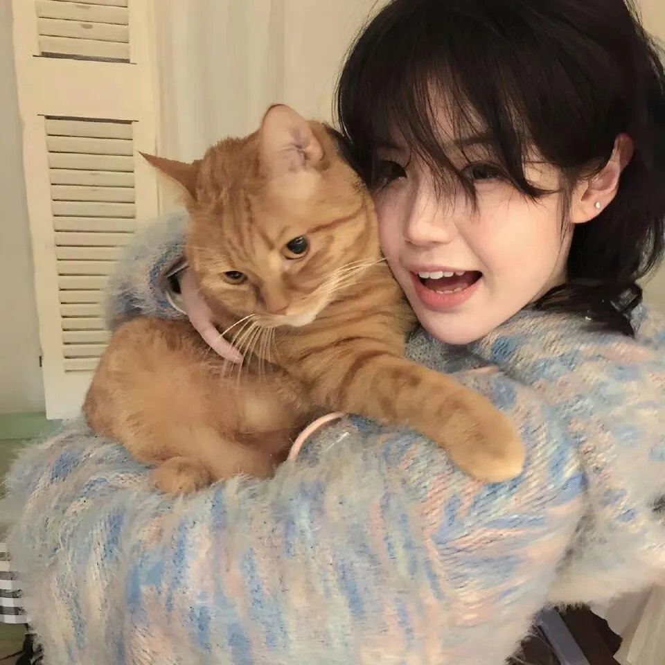 倒数第二次恋爱续篇